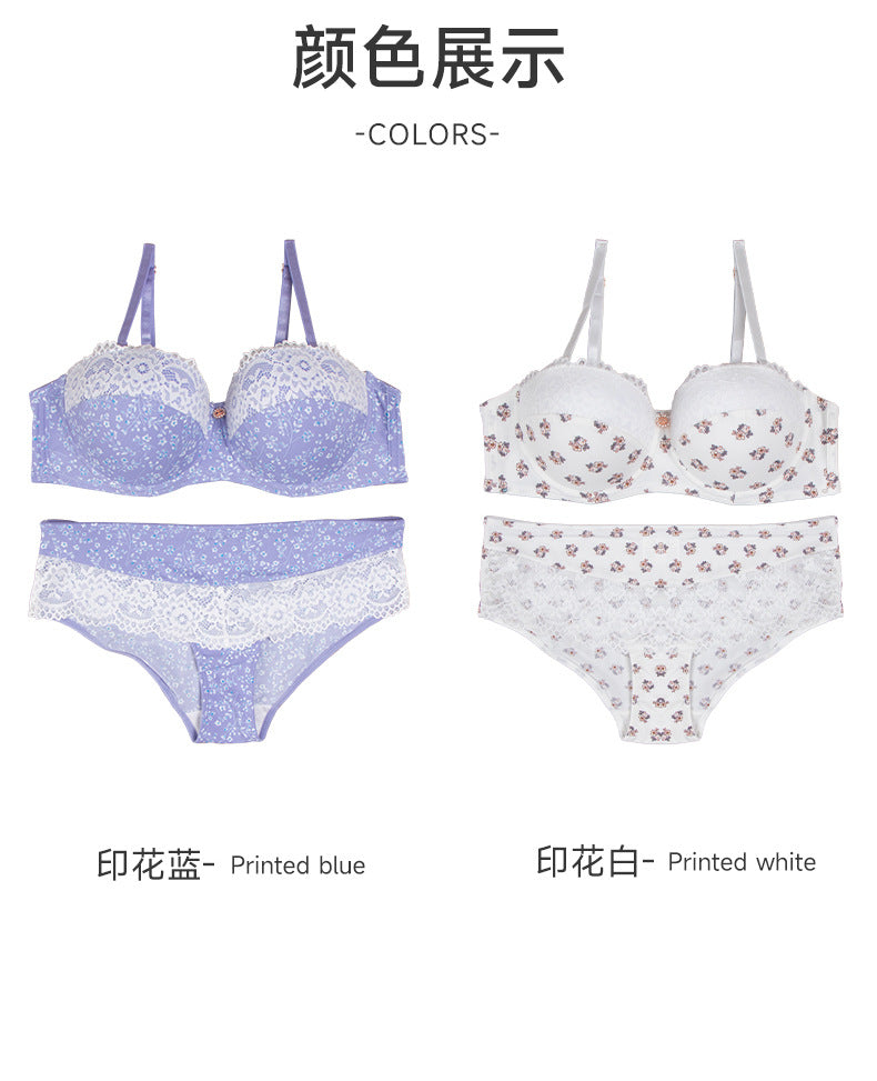 bra European and American Foreign Trade Sexy Lace Lingerie Nylon Printed Breathable Quick-Dry Small Chest Push-Up Women's Bra Set
