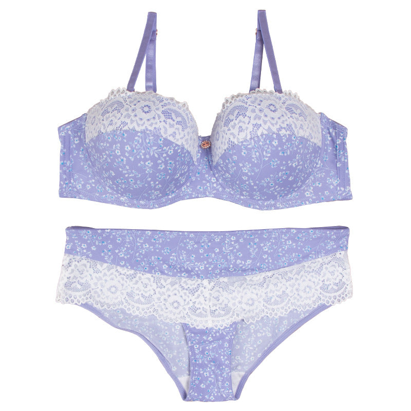 bra European and American Foreign Trade Sexy Lace Lingerie Nylon Printed Breathable Quick-Dry Small Chest Push-Up Women's Bra Set