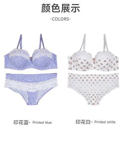 bra European and American Foreign Trade Sexy Lace Lingerie Nylon Printed Breathable Quick-Dry Small Chest Push-Up Women's Bra Set